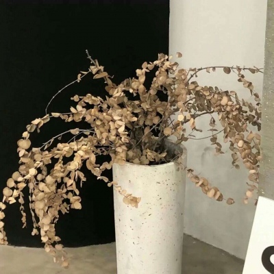 Furry插画光影营造福瑞群